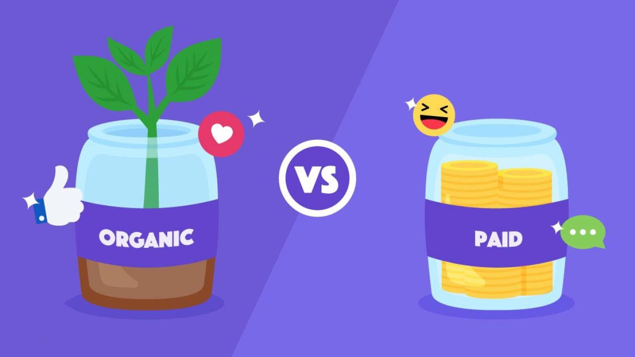 Paid Ads and Organic